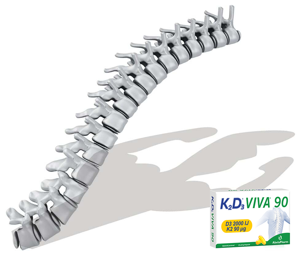 slika-4 Slika - Kičmeni stub